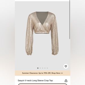 NWT cute sequin sparkly long sleeve v neck crop top from Cider